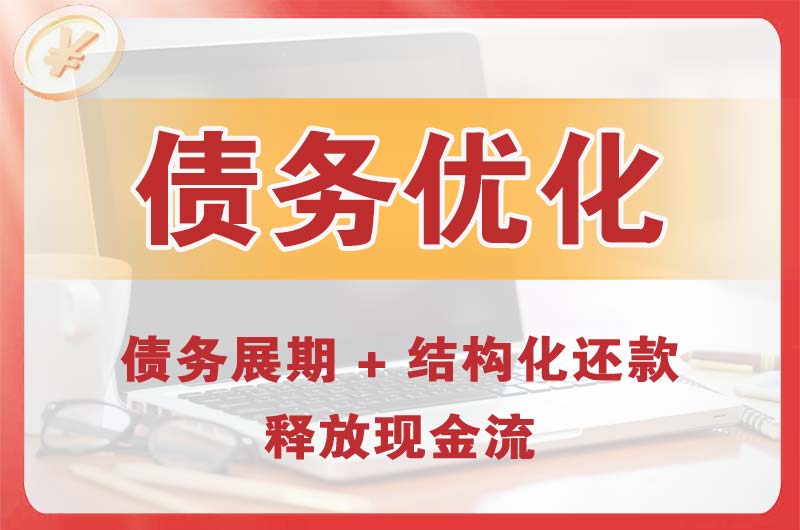 资兴债务优化
